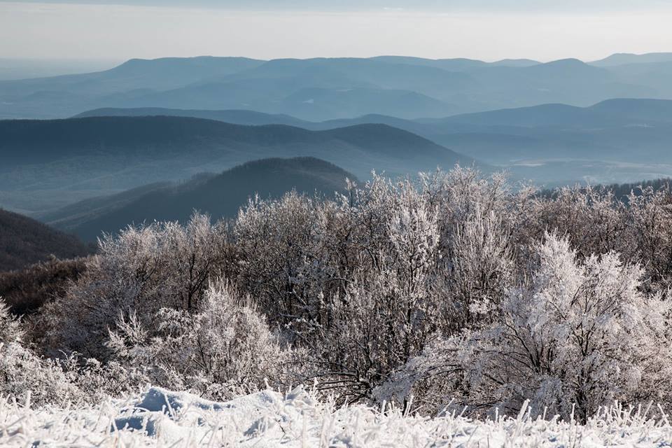 Börzsönyi kis körtúra
